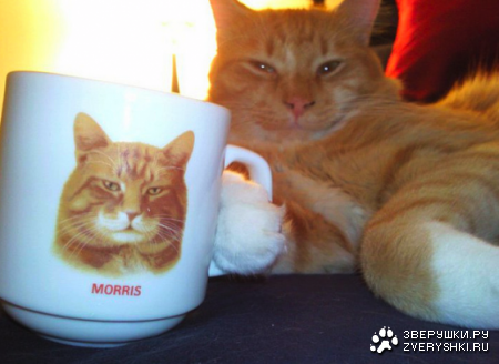 ������������ ������ ;)