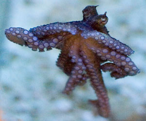 �������� ����� :)