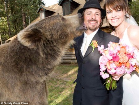 ����� ������ :)