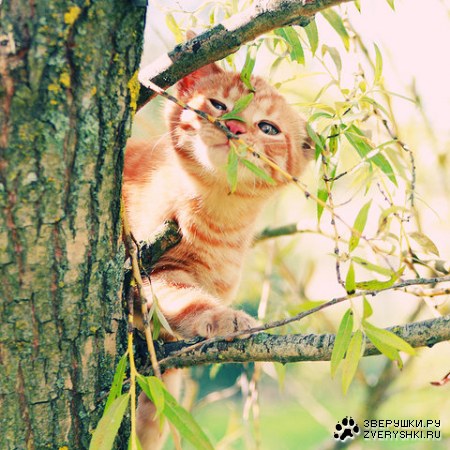 ��������� ��� ����������! ;)