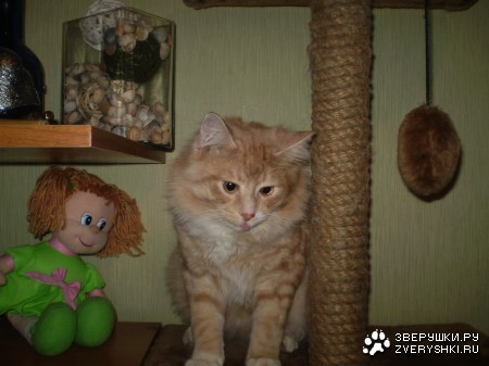 15 ������ ������� ���������� 1 ���!