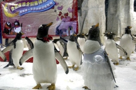 ������� ��������� :)