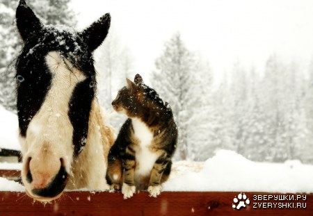 ������, � �� ���? :)