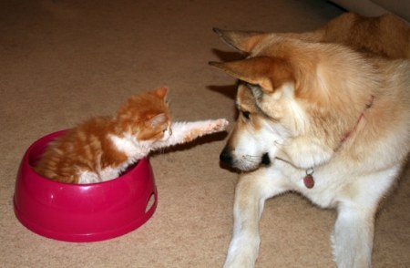 ������-�� �� ���� ��������! ;)