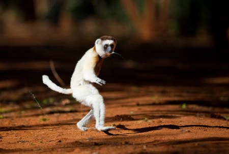 ��������� ������ (9 ����)