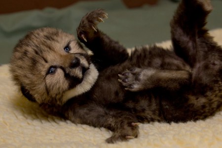 ������������� ������ :)