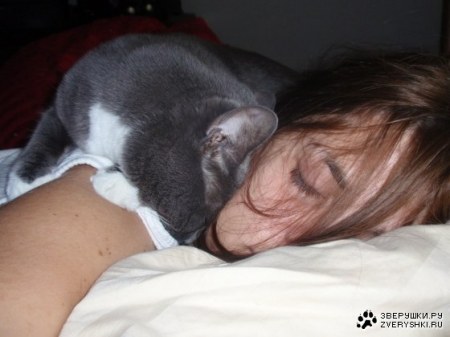 ������� ����� (8 ������)