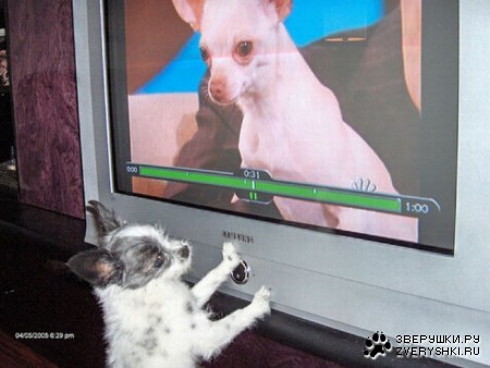 �������� ���� ����� �������� ��������� (23 ����)