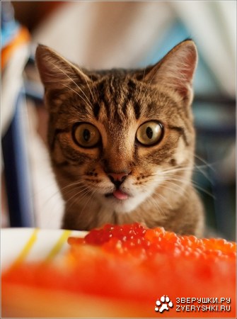 ��� �� ���?! :)