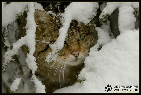 � ������ ���� ����! :)