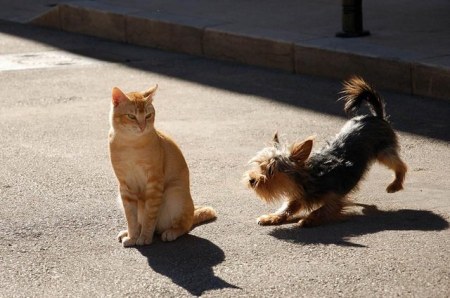 ��������, �����? :)