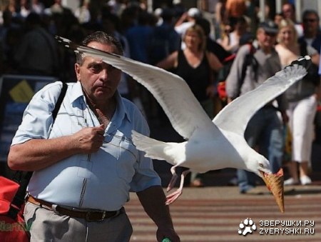 ������-��������� (10 ����)