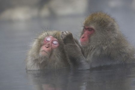 ���������� �������� ��������� (17 ����)