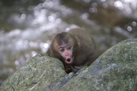 ���������� �������� ��������� (17 ����)