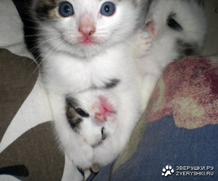 ���������� ������ ;)