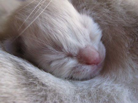 ������������� ������ :)