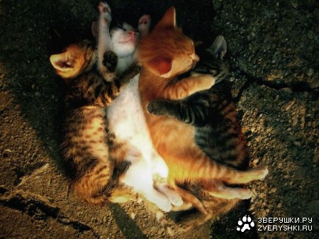 ������ ��������� ;)