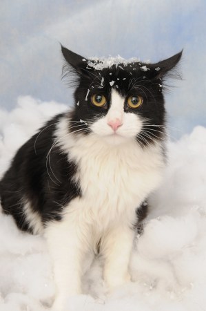 ����� �� ����?..