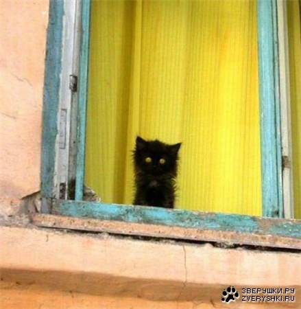 ����� � ������ (22 ����������)