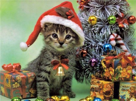 � ����������� ����� 2011 �����! :)