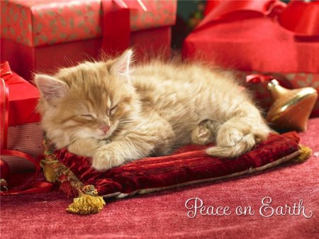 � ����������� ����� 2011 �����! :)