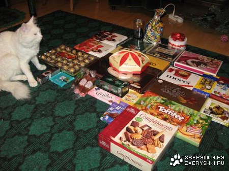 ���������� �����!