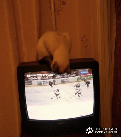 ����� ������ ��������!