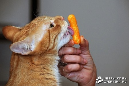 ���, ����������... :)