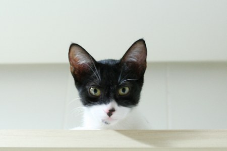 ������ � ������� � ����� ����� =)