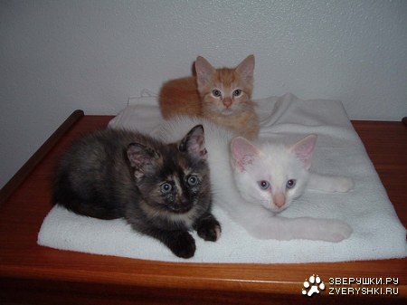 ������������ ;)