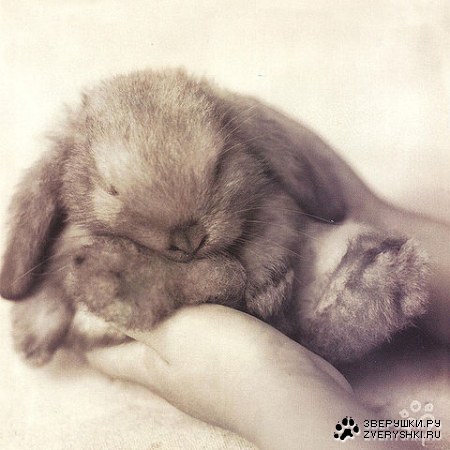 ������� :)