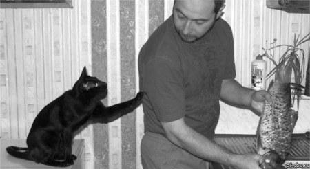 ������, �� ������ �� ���� ����������! ;)