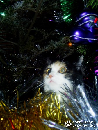 � ����� ��� ���� ����� �� ������ ;)