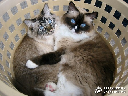 ��������� ;)