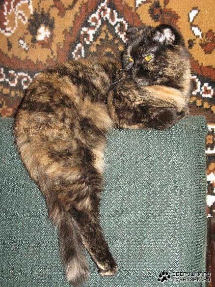 ������ ���� ��� ��������� :)