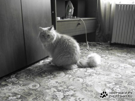 �� ����� �� �������, ������� ���!