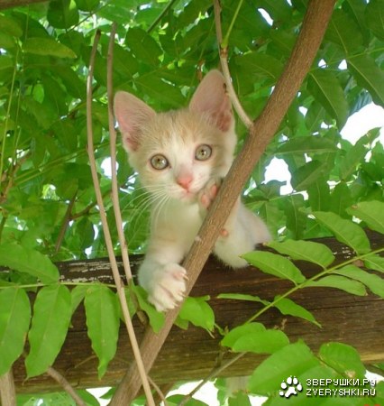 ��������� ;)