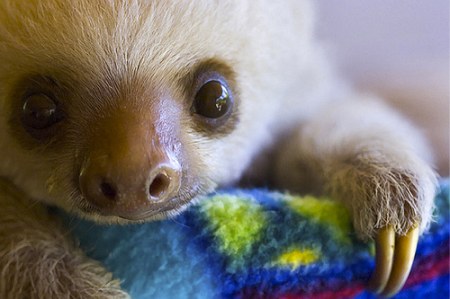 �������� ������� (4 ����)