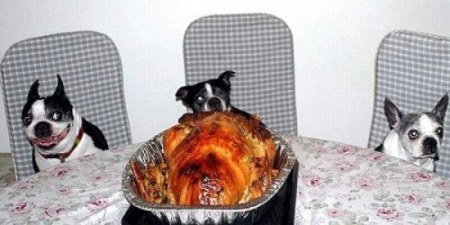 ��������-������� (9 ����)