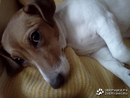 ��� ����� ��������� :)