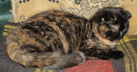 ������, ������ ��������!