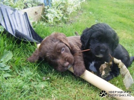 ������ ������� ;)