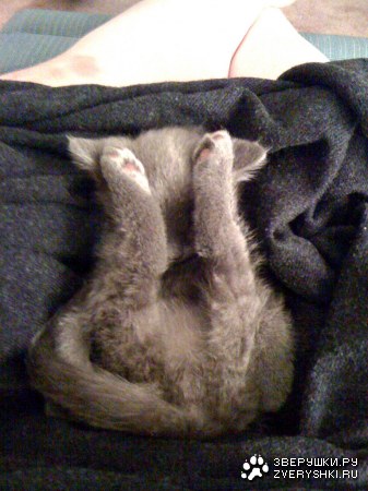 ������� :)