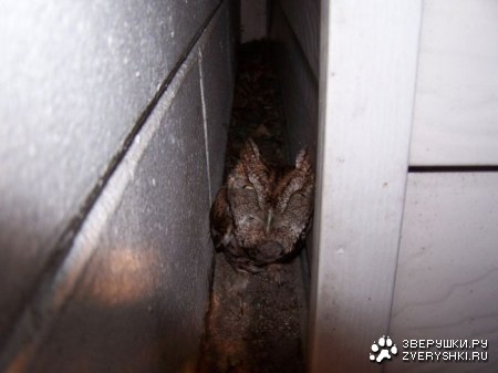 ���� ��������� (3 ����)