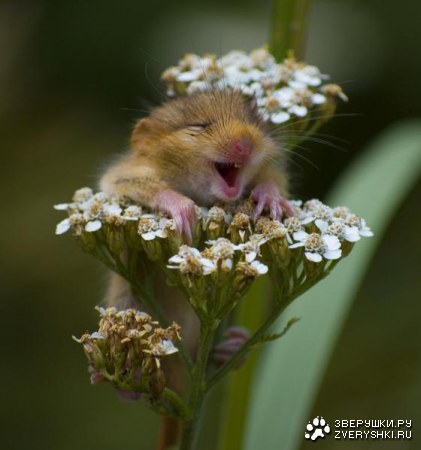 ������� ��� ���! :)