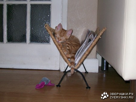 ������ �� ����� ���� ;)