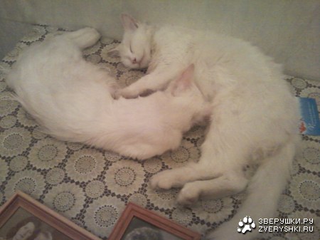 ��������  ����������! :)