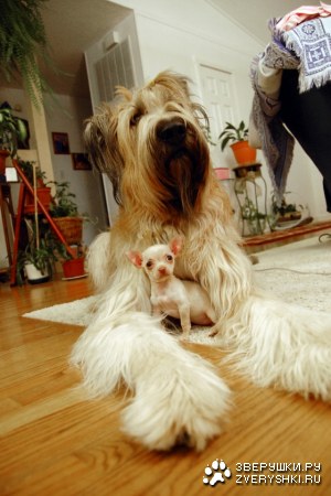 � �������� �����!