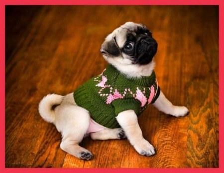 ����� ������ (9 ����)