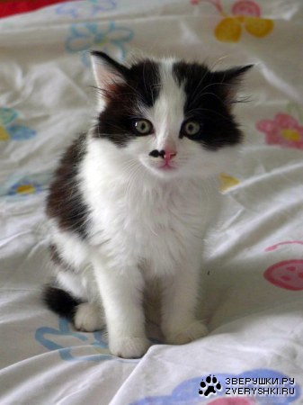 ����� ����� � �������� ������� :)